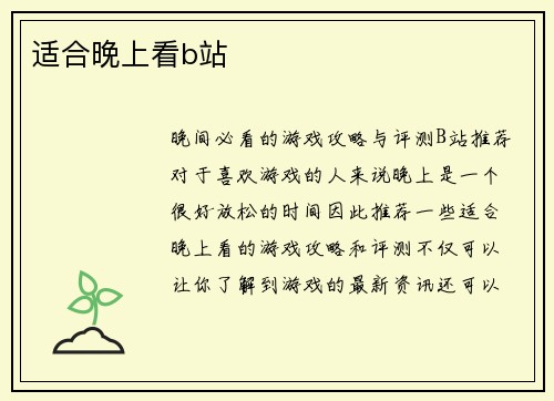 适合晚上看b站